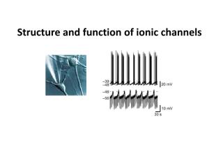 Structure and function of ion channels.pdf
