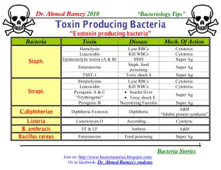 Dr Ahmed Ramzy Bacterial Toxins.pdf